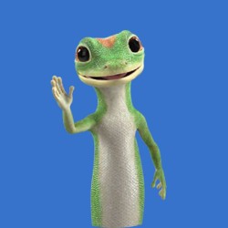 GEICO logo